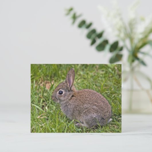 Baby Bunny Briefkaart (Staand voorkant)