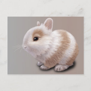 Baby Bunny Briefkaart