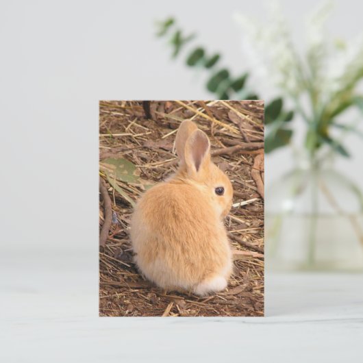 Baby Bunny Briefkaart (Staand voorkant)