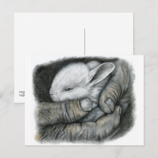BABY BUNNY BRIEFKAART (Voorkant / Achterkant)
