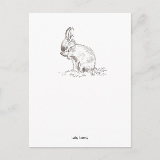 Baby Bunny Briefkaart (Voorkant)