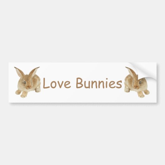 BABY BUNNY BUMPERSTICKER (Voorkant)