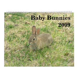 Baby Bunny Calendar 2009 Kalender