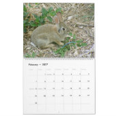 Baby Bunny Calendar 2010-2011 Kalender (Feb 2027)