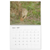 Baby Bunny Calendar 2010-2011 Kalender (Mar 2027)
