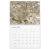 Baby Bunny Calendar 2010-2011 Kalender (Jan 2027)