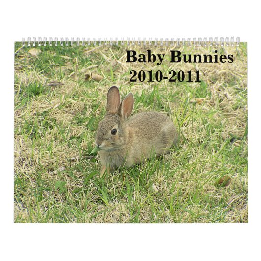 Baby Bunny Calendar 2010-2011 Kalender (Hoes)