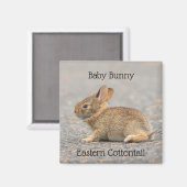 Baby Bunny Eastern Cottontail Rabbit Magneet (Voorkant / Achterkant)