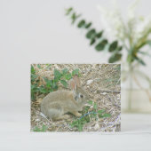 Baby Bunny en Leaf Briefkaart (Staand voorkant)