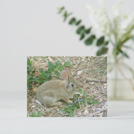Baby Bunny en Leaf Briefkaart (Staand voorkant)