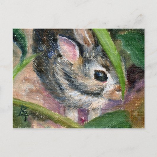 Baby Bunny Hiding Briefkaart (Voorkant)