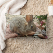 Baby Bunny in Sedona Rock Accent Sierkussen Kussen (Deken)
