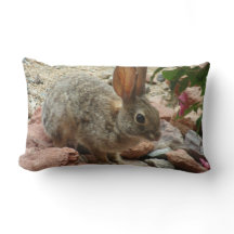 Baby Bunny in Sedona Rock Accent Sierkussen