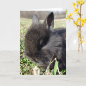Baby Bunny Kaart (Gele Bloem)