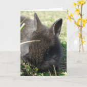 Baby Bunny Kaart (Gele Bloem)