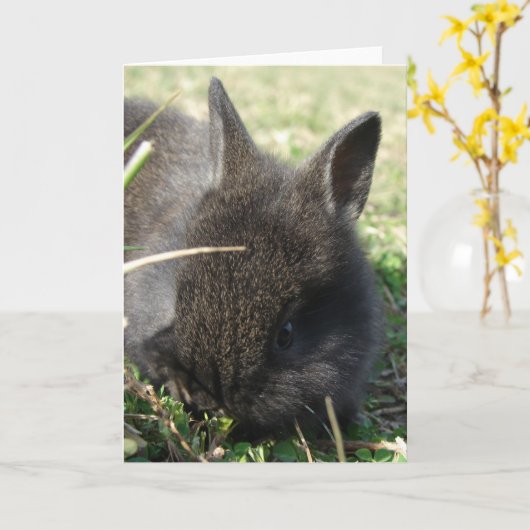 Baby Bunny Kaart (Gele Bloem)