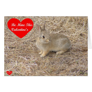 Baby Bunny Love 1-kaart