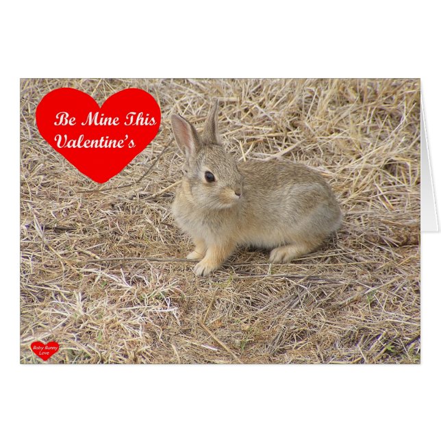 Baby Bunny Love 1-kaart (Voorkant Horizontaal)