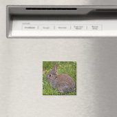 Baby Bunny Magnet (Insitu (Vaatwasser))