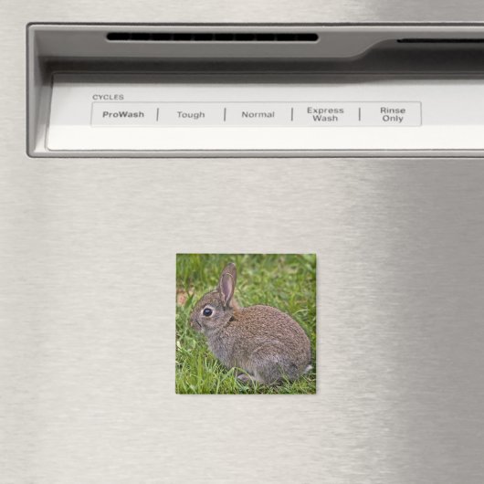 Baby Bunny Magnet (Insitu (Vaatwasser))