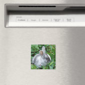 Baby bunny magnet (Insitu (Vaatwasser))