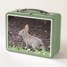Baby Bunny Metal Lunchbox