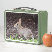 Baby Bunny Metal Lunchbox (In situ)