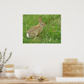 Baby Bunny on Lawn Poster (Keuken)