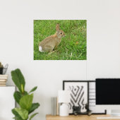 Baby Bunny on Lawn Poster (Thuiskantoor)