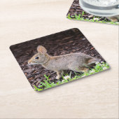 Baby Bunny Onderzetter (Schuin)