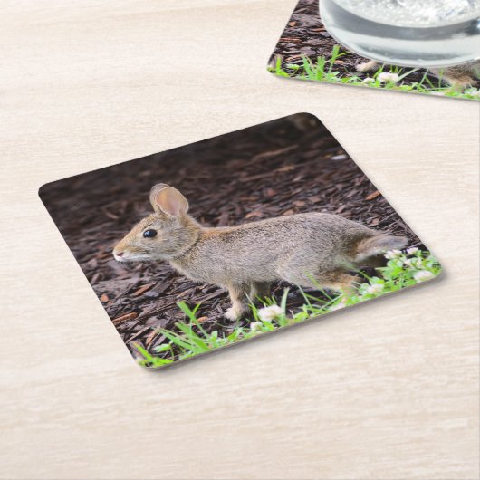 Baby Bunny Onderzetter (Schuin)