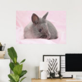 Baby bunny poster (Thuiskantoor)