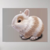 Baby Bunny Poster (Voorkant)