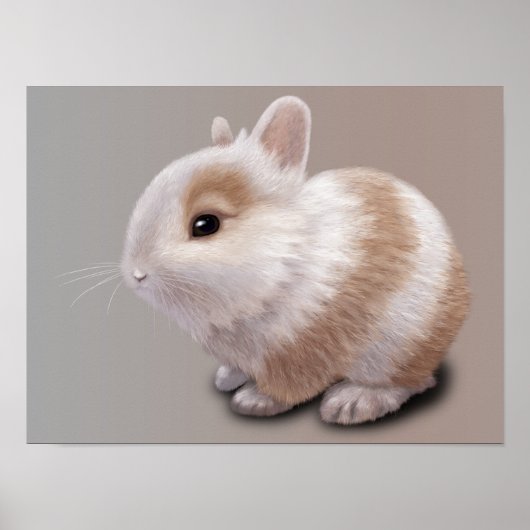 Baby Bunny Poster (Voorkant)