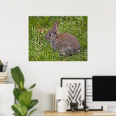 Baby Bunny Print (Thuiskantoor)