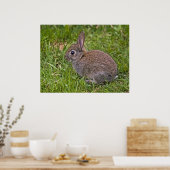Baby Bunny Print (Keuken)