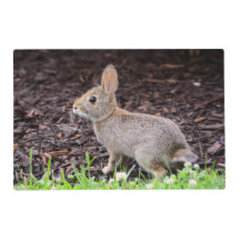 Baby Bunny Rabbit Laminated Placemat