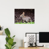 Baby Bunny Rabbit Poster (Thuiskantoor)
