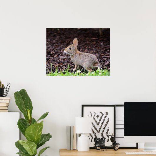 Baby Bunny Rabbit Poster (Thuiskantoor)