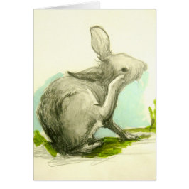 Baby Bunny Scratching Z'n oer