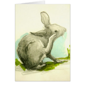 Baby Bunny Scratching Z'n oer