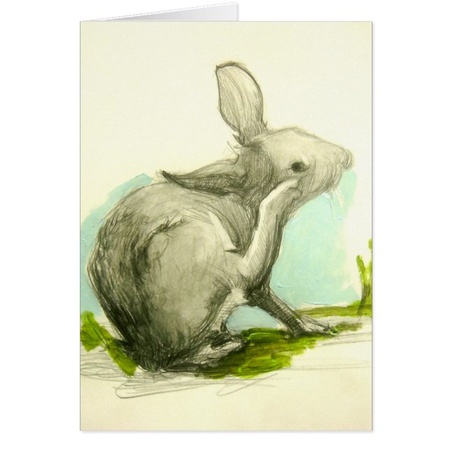 Baby Bunny Scratching Z'n oer (Voorkant)