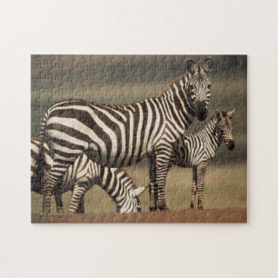 Baby Burchells zebra met moeder Legpuzzel