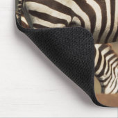 Baby Burchells zebra met moeder Muismat (Hoek)