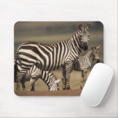 Baby Burchells zebra met moeder Muismat (Met muis)