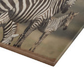 Baby Burchell's zebra met moeder Snijplank (Hoek)