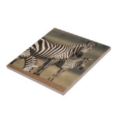 Baby Burchells zebra met moeder Tegeltje (Zijkant)