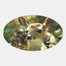 Baby cadeaus ovale sticker