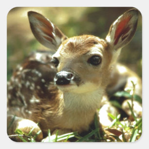 Baby cadeaus vierkante sticker