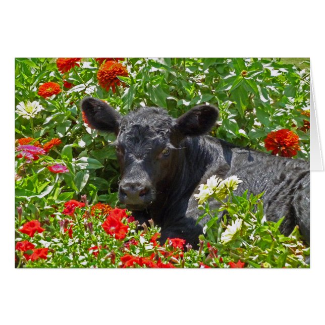 Baby Calf in de bloemen (Voorkant Horizontaal)